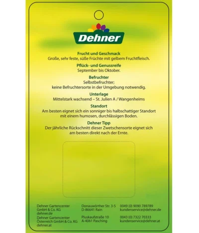 Zwetschge 'Presenta' 9 Zwetschge 'Presenta' -Haus Pflanzen Welt 7729460 ZwetschePresenta Etikett 2