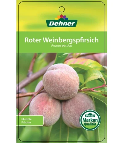 Dehner Pfirsich 'Roter Weinbergpfirsich' -Haus Pflanzen Welt 7745607 RoterWeinbergpfirsich Etikett 1