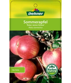 Sommerapfel 'Roter James Grieve' 10 Sommerapfel 'Roter James Grieve' -Haus Pflanzen Welt 7745730 SommerapfelRoterJamesGrieve Etikett 1