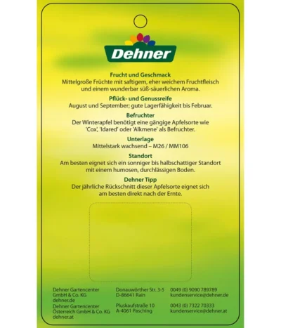 Sommerapfel 'Roter James Grieve' -Haus Pflanzen Welt 7745730 SommerapfelRoterJamesGrieve Etikett 2