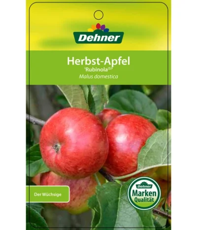 Herbstapfel 'Rubinola' 10 Herbstapfel 'Rubinola' -Haus Pflanzen Welt 7747165 HerbstapfelRubinola Etikett 1