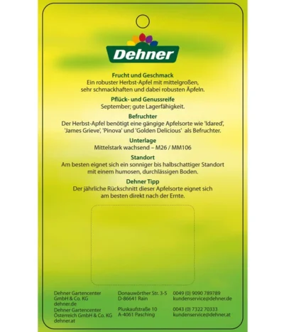 Herbstapfel 'Rubinola' 11 Herbstapfel 'Rubinola' -Haus Pflanzen Welt 7747165 HerbstapfelRubinola Etikett 2