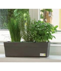GREENBAR® Wasserstandsanzeiger -Haus Pflanzen Welt 7750482 PR MO 001 GreenbarAnleitungIndoorSeidl 2