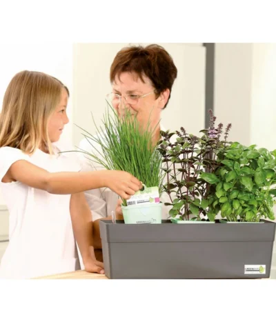 GREENBAR® Naschtomate -Haus Pflanzen Welt 7750482 WE MO 009 GreenbarAnleitungIndoor