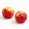 Allergikerapfel 'Santana' -Haus Pflanzen Welt 7750631 WE DE 003 ApfelSantanaDehnerExpressHerzig