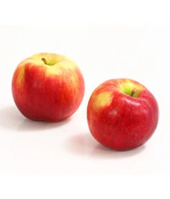 Allergikerapfel 'Santana'