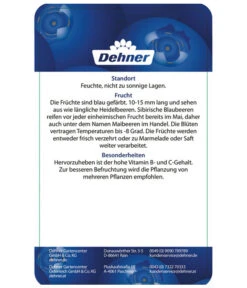 Maibeere 13 Maibeere -Haus Pflanzen Welt 7756448 SibirischeBlaubeerePolina Etikett 2