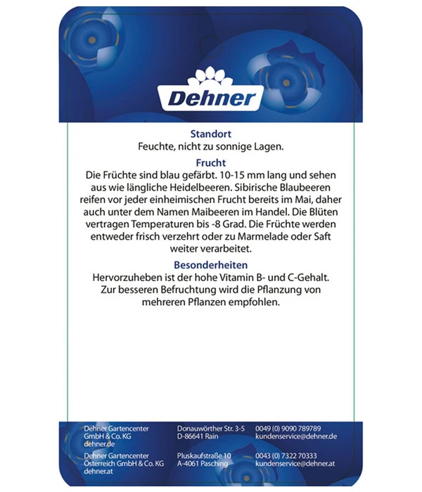 Maibeere 8 Maibeere – Bild 6