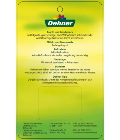 Nektarine 'Snow Queen' 7 Nektarine 'Snow Queen' -Haus Pflanzen Welt 7756828 NektarineSnowQueen Etikett 2