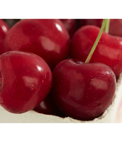 Süßkirsche 'Sunburst'