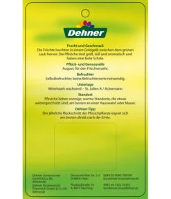 Pfirsich 'Suncrest' -Haus Pflanzen Welt 7760754 GelbfleischigerPfirsichSuncrest Etikett 2