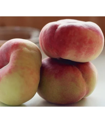 Tellerpfirsich 'Sugar Baby'