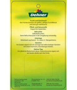 Zwetschge 'Kulinaria-Toptaste' -Haus Pflanzen Welt 7763881 ZwetscheKulinariaToptaste Etikett 2