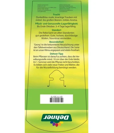 Tafeltraube 'Georg' 11 Tafeltraube 'Georg' -Haus Pflanzen Welt 7773575 TafeltraubeGeorg Etikett 2