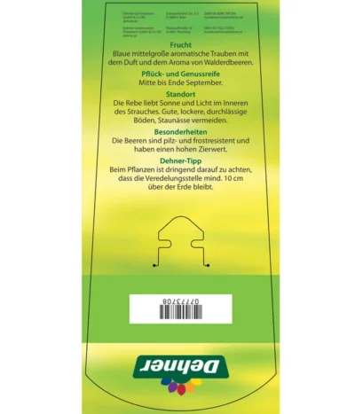 Tafeltraube 'Erdbeertraube' -Haus Pflanzen Welt 7773708 TafeltraubeErdbeertraube Etkett 2