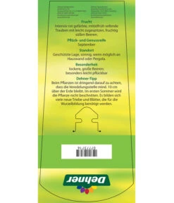 Tafeltraube 'Katharina' -Haus Pflanzen Welt 7773716 TafeltraubeKatharina Etikett 2