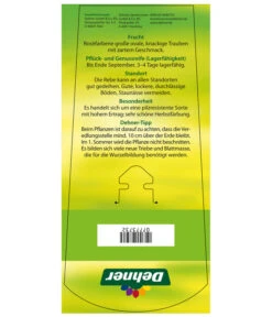 Tafeltraube 'Vanessa' 9 Tafeltraube 'Vanessa' -Haus Pflanzen Welt 7773732 TafeltraubeVanessa Etikett2