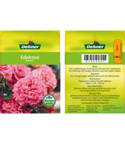 Edelrosen-Mix 'Nostalgie®' -Haus Pflanzen Welt 7800063 AshleyEdelrose Etikett1