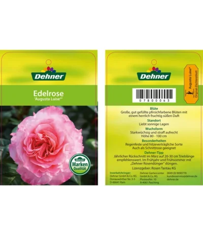 Edelrosen-Mix 'Nostalgie®' -Haus Pflanzen Welt 7800063 AugustaLuiseEdelrose Etikett1