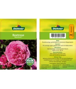 Edelrosen-Mix 'Nostalgie®' -Haus Pflanzen Welt 7800063 BaronesseBeetrose Etikett1