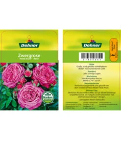 Edelrosen-Mix 'Nostalgie®' -Haus Pflanzen Welt 7800063 HeidiKlumZwergrose Etikett1