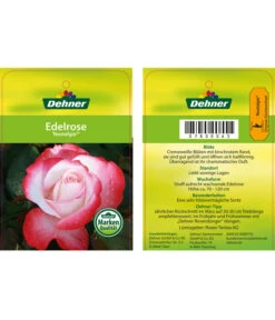 Edelrosen-Mix 'Nostalgie®' -Haus Pflanzen Welt 7800063 NostalgieEdelrose Etikett1