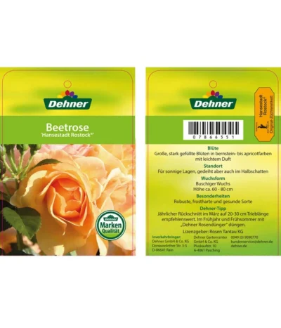Beetrose 'Hansestadt Rostock®' -Haus Pflanzen Welt 7866551 HansestadtRostockBeetrose Etikett1