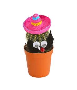 Kaktus Mit Sombrero - Cactaceae, Verschiedene Sorten -Haus Pflanzen Welt 7977291 WE FS 002 KaktusPinkMitSombreroDehnerExpressHerzig