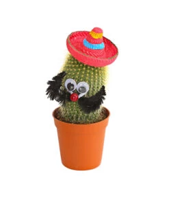 Kaktus Mit Sombrero - Cactaceae, Verschiedene Sorten -Haus Pflanzen Welt 7977291 WE PR 003 KaktusRotMitSombreroDehnerExpressHerzig