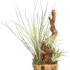 Tillandsien-Arrangement Auf Wurzelbaum - Tillandsia Hybride, 3-teilig -Haus Pflanzen Welt 7977648 WE FS 001 TillandsienAufWurzelbaum3PflanzenDehnerExpressHerzig