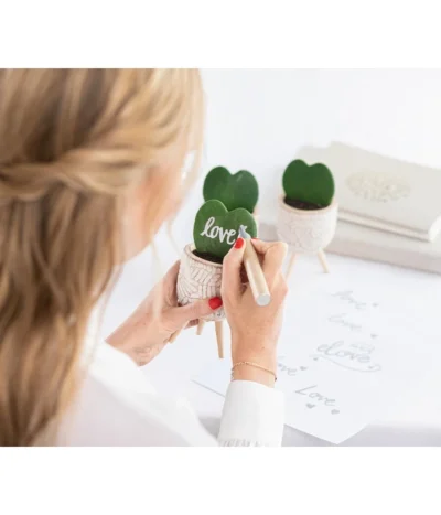 Dehner Beton-Übertopf Gaby, Rund, Ca. Ø7,5 Cm -Haus Pflanzen Welt 7978075 WE MO 001 HoyaKerriiHerzblattReelValentin202303