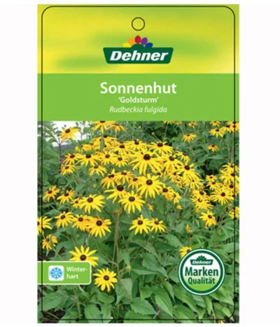 Sonnenhut 'Goldsturm' -Haus Pflanzen Welt 8010043 RudbeckiaGoldsturmEtikett1
