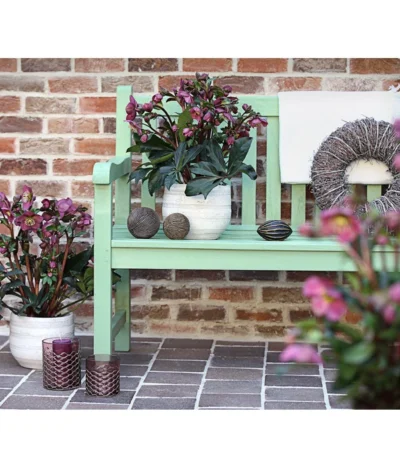 Schneerose 'Ice N' Roses® Red' - Helleborus Gold Collection® 9 Schneerose 'Ice N' Roses® Red' - Helleborus Gold Collection® -Haus Pflanzen Welt 8010969 WE MO 001 HelleborusWeinrotDehnerExpressHerzig