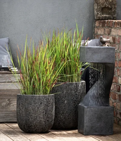 Japanisches Blutgras 'Red Baron' 13 Japanisches Blutgras 'Red Baron' -Haus Pflanzen Welt 8016321 8006314 8006710 WE MO 004 Imperata