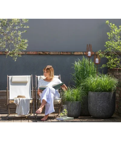 Stachelschweingras 'Strictus' -Haus Pflanzen Welt 8020596 8019762 8006744 6878847 6878854 6878862 4210605 WE MO 001 MiscanthusStrictus 1