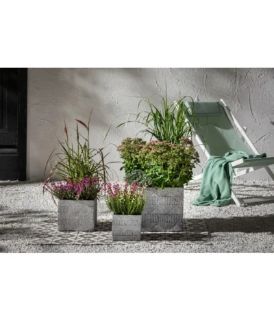 Fetthenne - Mauerpfeffer 'Autumn Joy' -Haus Pflanzen Welt 8021826 PR MO 004 PennisetumRubrumT19Lampenputzergras Bienen GC17 2020