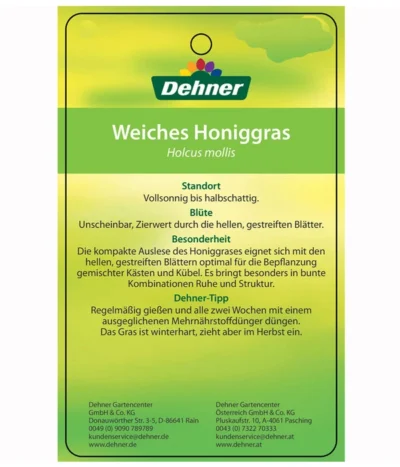 Weiches Honiggras 7 Weiches Honiggras -Haus Pflanzen Welt 8033276 HoniggrasEtikett2
