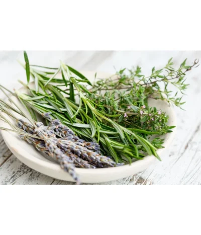 Dehner Gourmet Garten Hänge-Rosmarin 7 Dehner Gourmet Garten Hänge-Rosmarin -Haus Pflanzen Welt 8035750 WE MO 001 RosmarinCapriPixabay