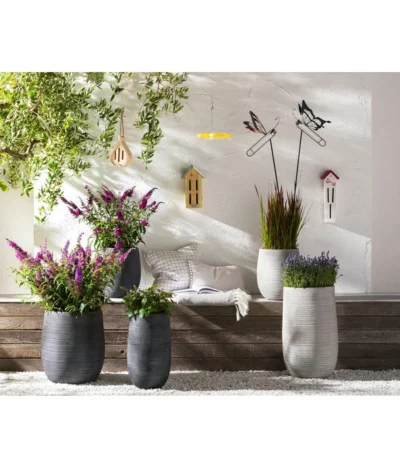 Dehner Gourmet Garten Strauchbasilikum 'Magic Blue' -Haus Pflanzen Welt 8092108 PR MO 005 LavendelLavandulaAngustifoliaT13Schmetterlingsgarten Rosen usw GC14 2020