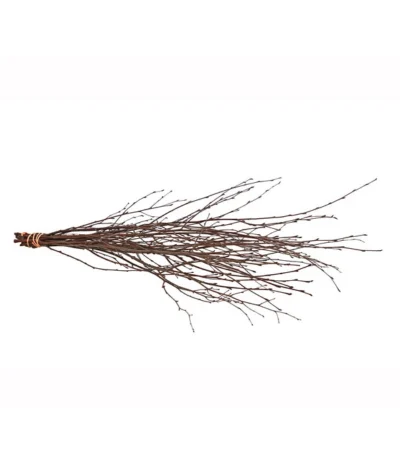 Birkenzweige-Bund, Ca. 70 Cm -Haus Pflanzen Welt 8148819 PR FS 001 BirkenzweigeNaturKurzBundDehnerExpressHerzig