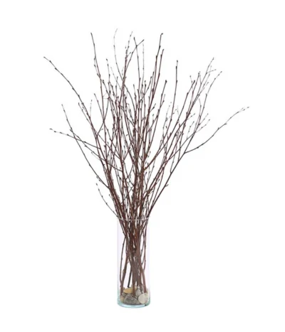 Birkenzweige-Bund, Ca. 70 Cm -Haus Pflanzen Welt 8148819 PR FS 002 BirkenzweigeNaturKurzBundDehnerExpressHerzig
