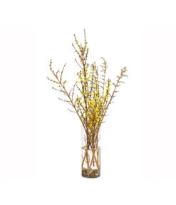 Forsythien-Bund, Ca. 80-100 Cm -Haus Pflanzen Welt 8148959 WE FS 002 ForsythieBundDehnerExpressHerzig