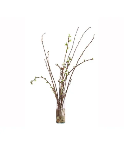 Kirschzweige-Bund, Ca. 80-100 Cm -Haus Pflanzen Welt 8149049 WE FS 002 KirschzweigeBundDehnerExpressHerzig