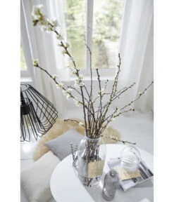 Kirschzweige-Bund, Ca. 80-100 Cm 11 Kirschzweige-Bund, Ca. 80-100 Cm -Haus Pflanzen Welt 8149049 PR MO 001 KirschzweigeFotoshootingUveSauerFebruar2016