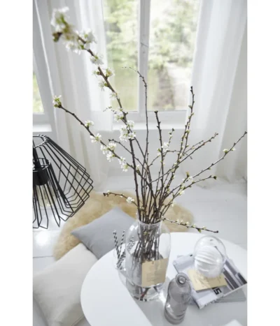 Kirschzweige-Bund, Ca. 80-100 Cm -Haus Pflanzen Welt 8149049 PR MO 001 KirschzweigeFotoshootingUveSauerFebruar2016