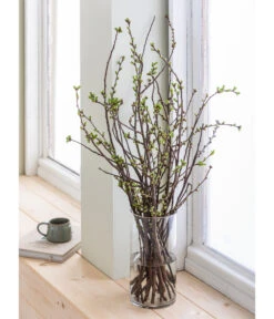 Kirschzweige-Bund, Ca. 80-100 Cm 12 Kirschzweige-Bund, Ca. 80-100 Cm -Haus Pflanzen Welt 8149049 WE MO 001 KirschzweigeHandbund