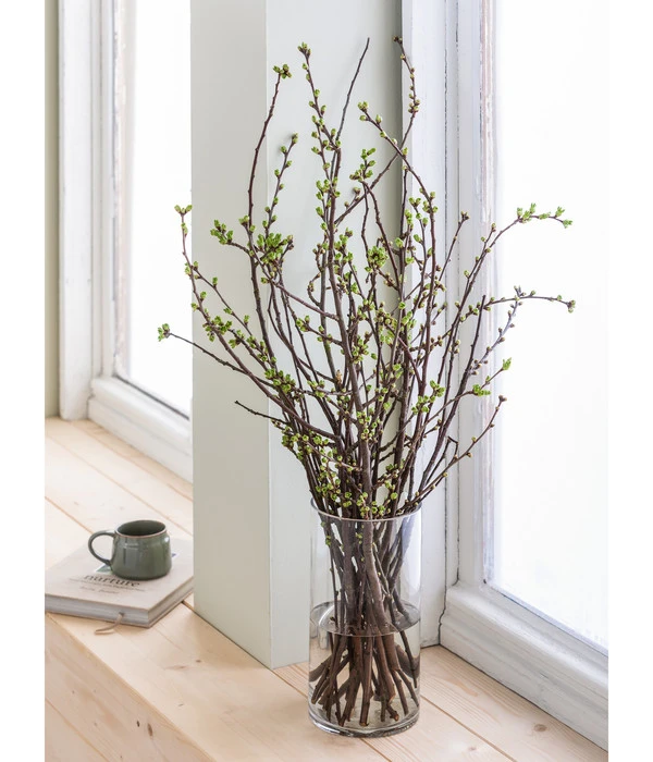 Kirschzweige-Bund, Ca. 80-100 Cm 7 Kirschzweige-Bund, Ca. 80-100 Cm – Bild 5