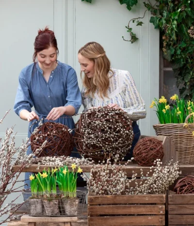 Narzissen 'Tête à Tête' In Birkentopf, Ca. Ø11 Cm -Haus Pflanzen Welt 8150476 WE MO 001 WeidenkaetzchenBundWeidenkugel