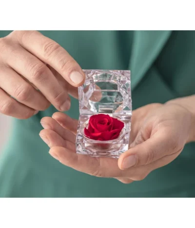 Longlife-Rose In Juwelenbox, Ca. Ø3,5 Cm -Haus Pflanzen Welt 8167041 PR MO 001 LongLifeRoseJewelleryBox