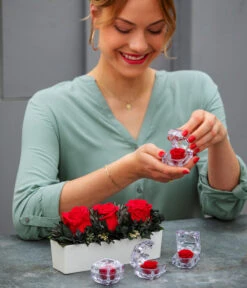 Longlife-Rose In Juwelenbox, Ca. Ø3,5 Cm -Haus Pflanzen Welt 8167041 WE MO 001 LonglifeArrangementElenRot